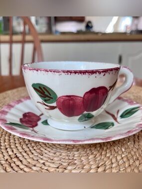 Red Apple Tea Cup and Saucer Blue Ridge 1950s